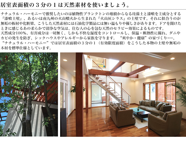 ナチュラルシンフォニー　天延素材