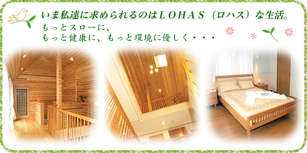 ロハス